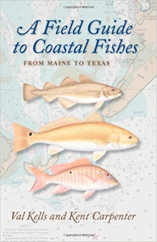 A Field Guide to Coastal Fishes: from Maine to Texas
