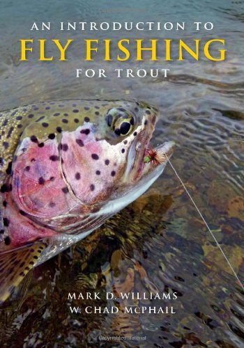 An Introduction to Fly Fishing for Trout