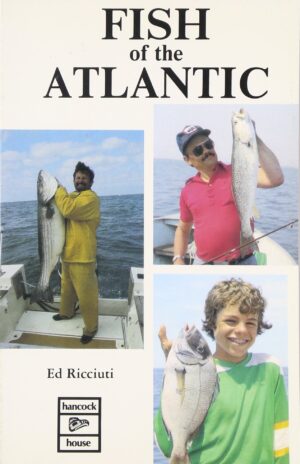 Fish of the Atlantic