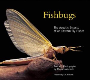 Fishbugs: the Aquatic Insects of an Eastern Fly Fisher