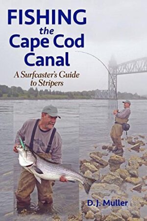 Fishing the Cape Cod Canal