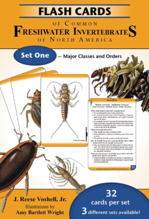 Flash Cards of Common Freshwater Invertebrates of North America Set 1: Major Classes and Orders