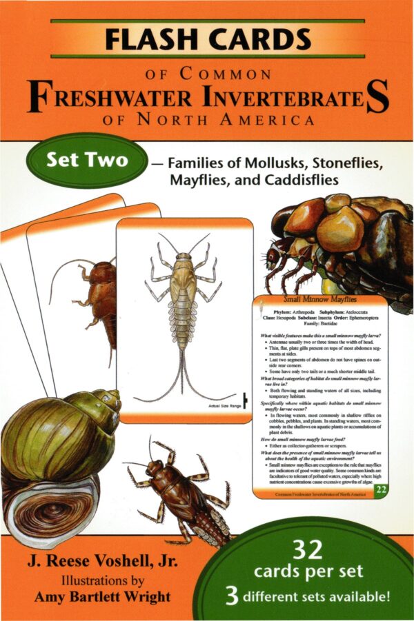 Flash Cards of Common Freshwater Invertebrates of North America Set 2: Families of Mollusks, Stoneflies, Mayflies and Caddisflies