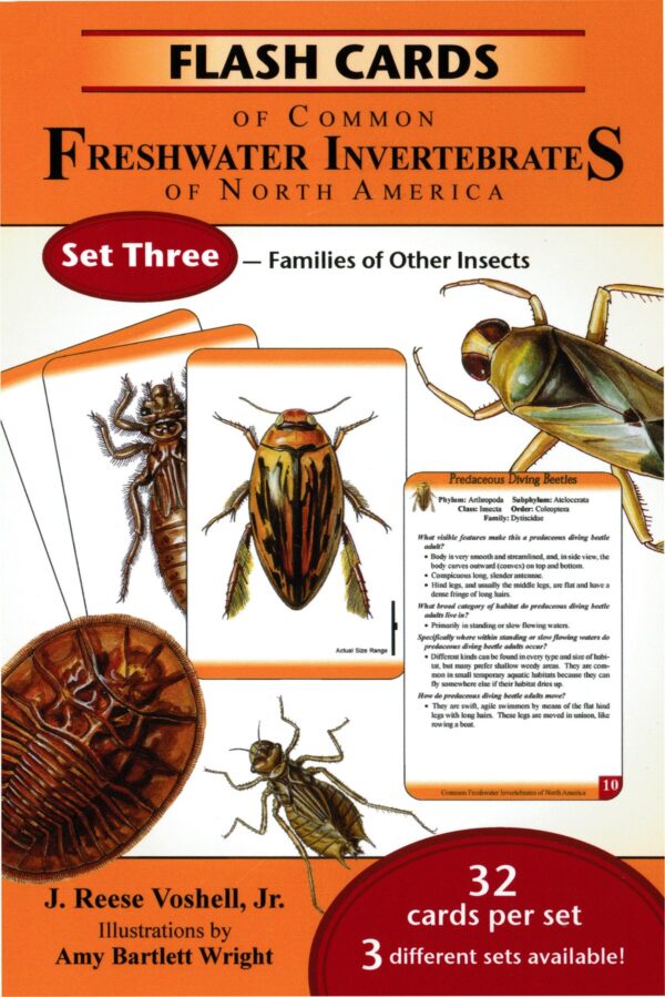 Flash Cards of Common Freshwater Invertebrates of North America Set 3: Families of Other Insects