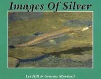 Images of Silver