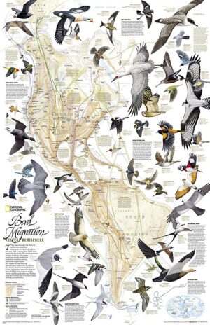 National Geographic Wall Maps: Bird Migration