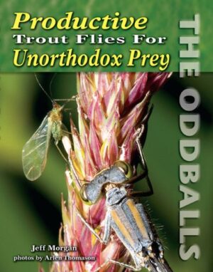 Productive Trout Flies for Unorthodox Prey: the Oddballs