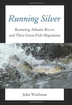 Running Silver: Restoring Atlantic Rivers and Their Great Fish Migrations