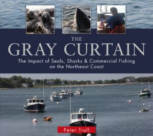 The Gray Curtain: the Impact of Seals, Sharks, and Commercial Fishing on the Northeast Coast