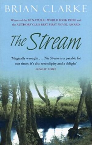 The Stream