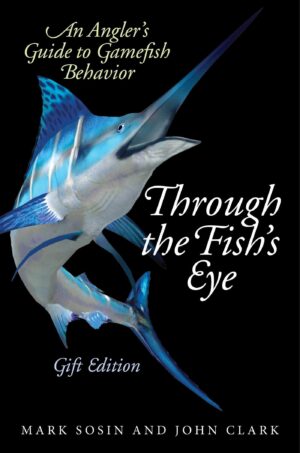 Through the Fish's Eye