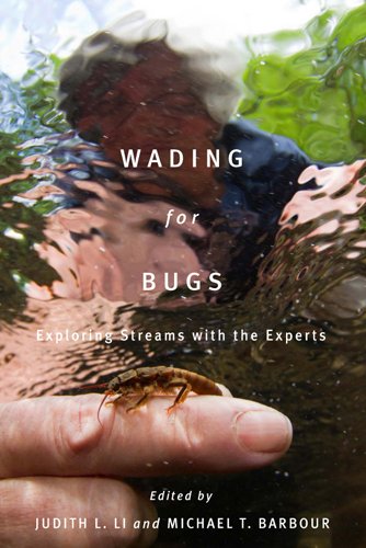 Wading for Bugs: Exploring Streams with the Experts