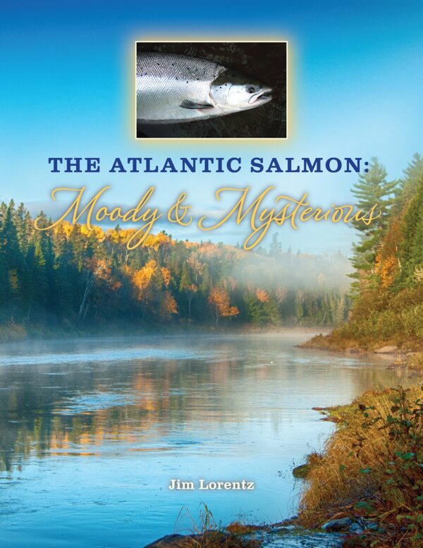 Atlantic Salmon: Moody and Mysterious