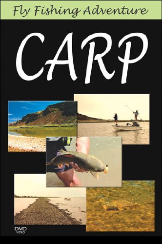 Fly Fishing Adventures: Carp