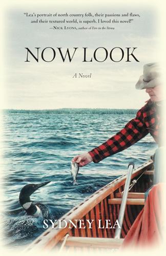 Now Look: a Novel