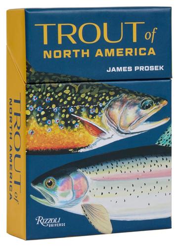 Trout of North America Card Deck