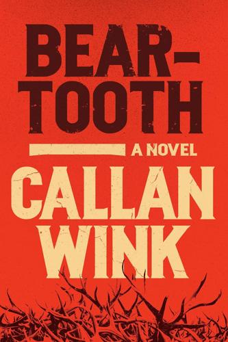 Beartooth: a Novel