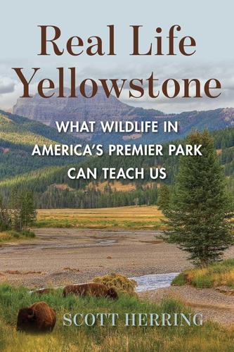 Real Life Yellowstone: What Wildlife in Americas Premier Park Can Teach Us